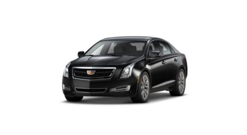 Black Car Chauffeur in Pinellas Park, FL